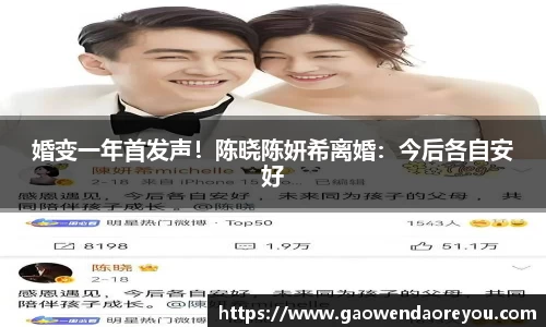 NG婚变一年首发声！陈晓陈妍希离婚：今后各自安好